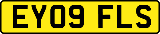 EY09FLS
