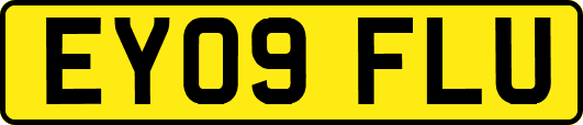 EY09FLU