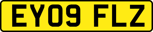 EY09FLZ