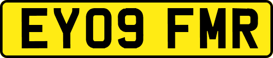EY09FMR