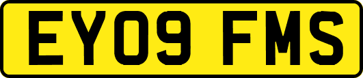 EY09FMS