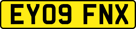 EY09FNX