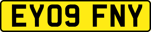 EY09FNY