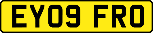 EY09FRO