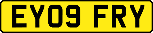EY09FRY