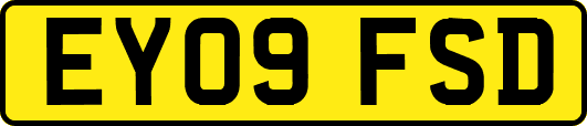EY09FSD