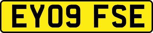 EY09FSE