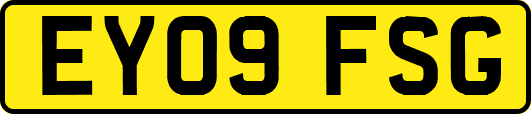 EY09FSG