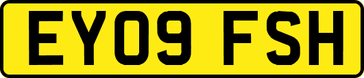EY09FSH