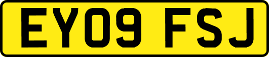 EY09FSJ