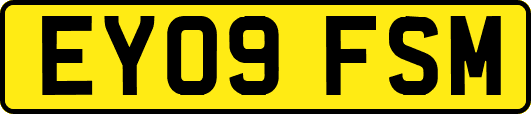 EY09FSM