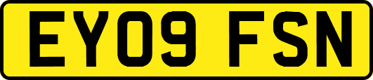EY09FSN