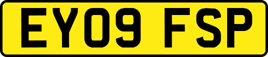 EY09FSP