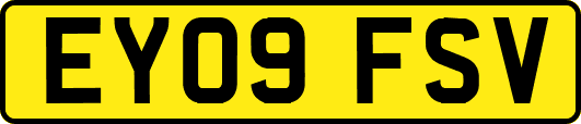 EY09FSV