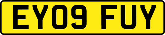 EY09FUY