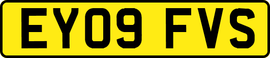 EY09FVS