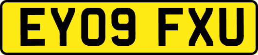 EY09FXU