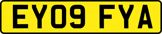 EY09FYA