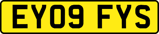 EY09FYS