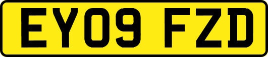 EY09FZD