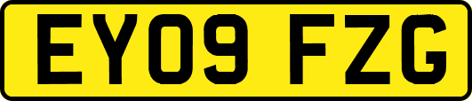 EY09FZG