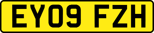 EY09FZH
