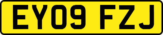 EY09FZJ