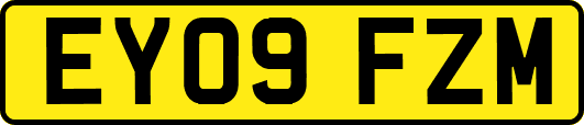 EY09FZM