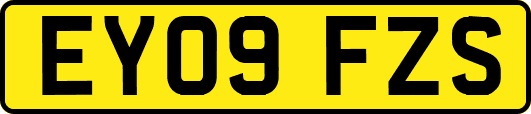 EY09FZS