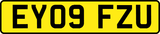 EY09FZU