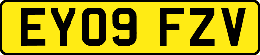 EY09FZV