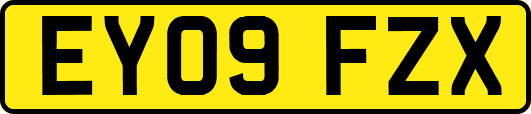 EY09FZX