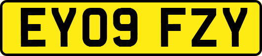 EY09FZY