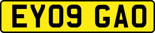 EY09GAO