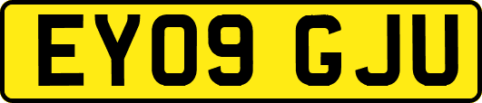 EY09GJU