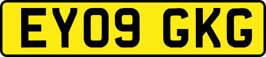 EY09GKG
