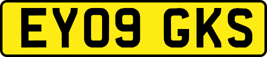 EY09GKS