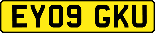 EY09GKU