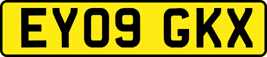 EY09GKX