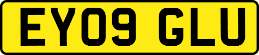 EY09GLU