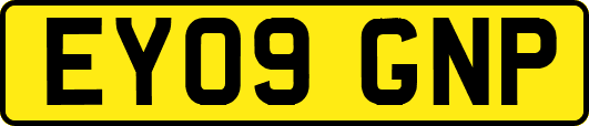 EY09GNP