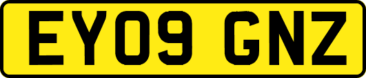 EY09GNZ
