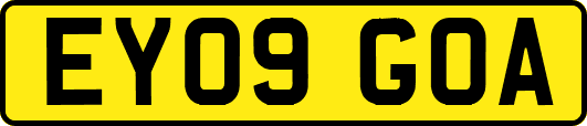 EY09GOA