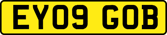 EY09GOB