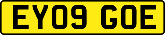 EY09GOE