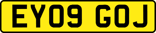 EY09GOJ