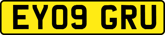 EY09GRU