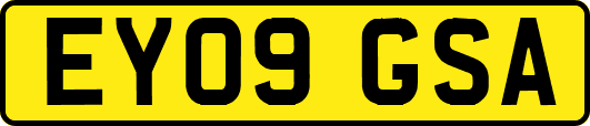 EY09GSA