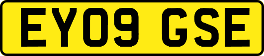 EY09GSE