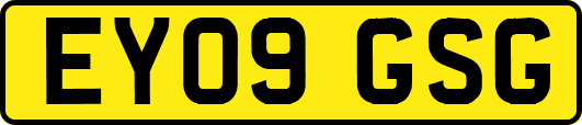 EY09GSG